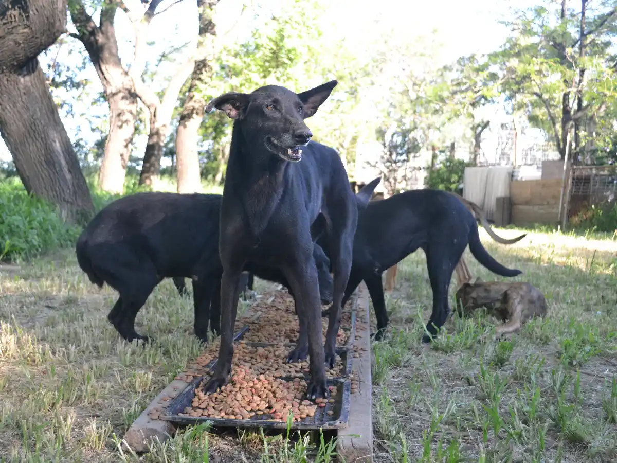 Llenos de solidaridad
