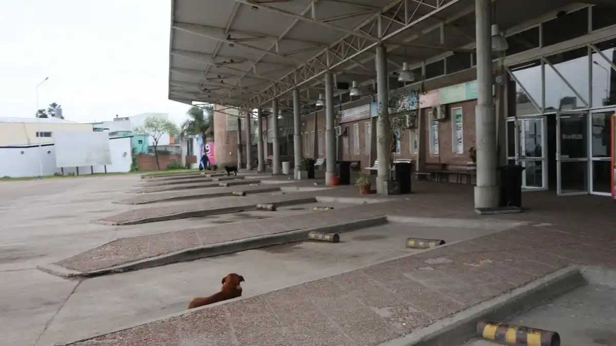 La provincia gestiona la vuelta del transporte interurbano en todos los municipios