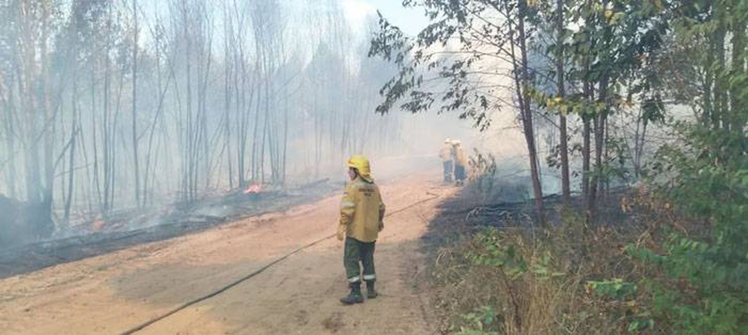 Bomberos Voluntarios combatieron incendios  forestales de gran magnitud en Villa del Rosario