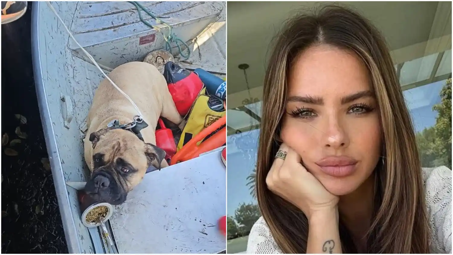 Rescatan al perro de la China Suárez de ahogarse en Nordelta y reavivan críticas por el cuidado de sus mascotas