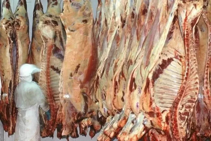 Campo Informe Rosgan