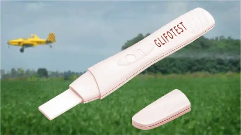 Desde laUBA desarrollan un test de detección de glifosato
