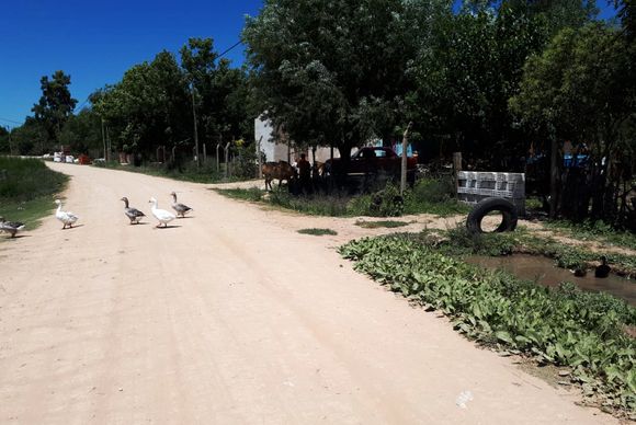 La Tosquera se quedó sin luz y sin agua: Coopser trabajaba para resolver el problema