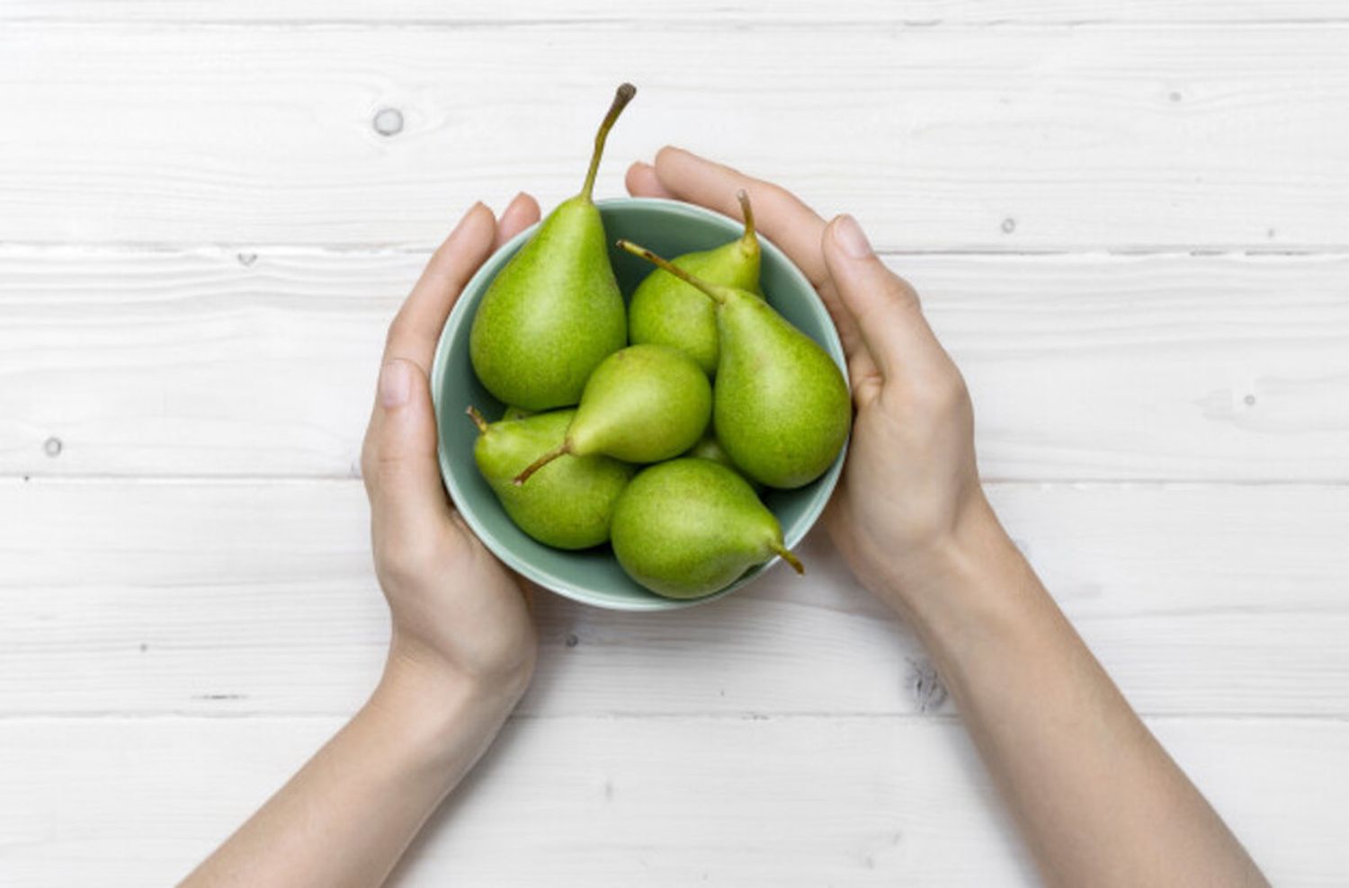 Las bases de la alimentación sostenible