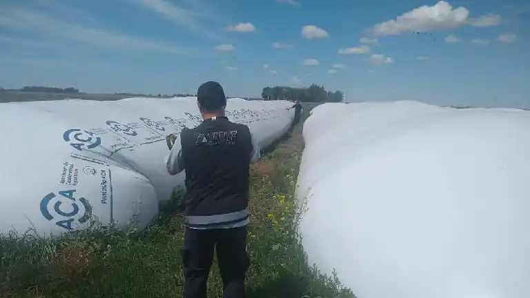 Olavarría: AFIP detectó 920 toneladas de maíz sin declarar por un valor de más de $32 millones