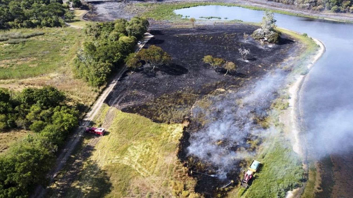 Corrientes: Más de 500 mil hectáreas arrasadas por el fuego