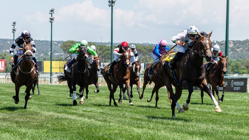 Sábado 15: Actividad Hipódromo de San Isidro