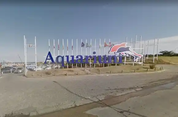 Anuncian una manifestación frente al Aquarium de Mar del Plata