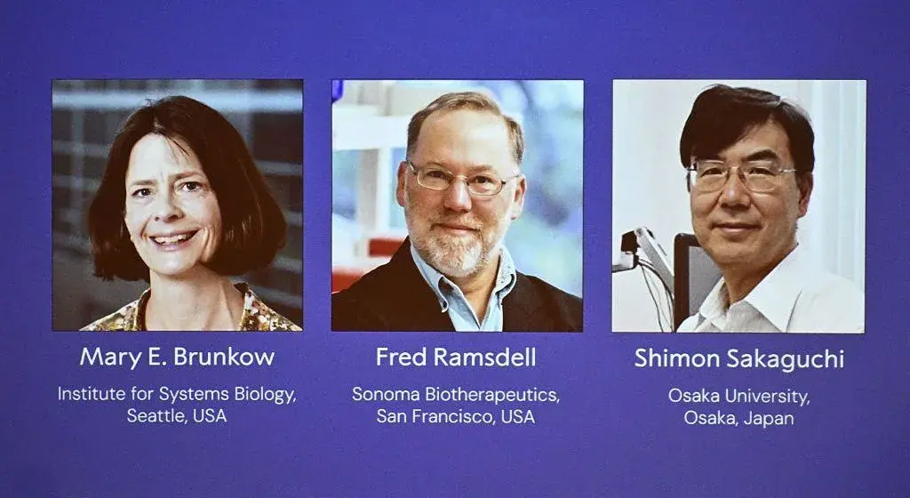 Mary E. Brunkow, Fred Ramsdell y Shimon Sakaguchi