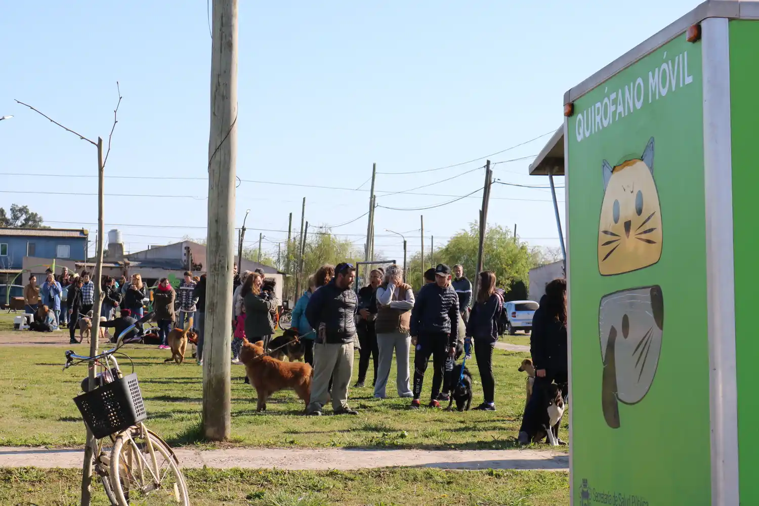 Más de 60 mascotas serán intervenidas en el quirófano móvil municipal instalado en Plaza La Barraca