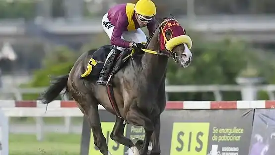 Doblete de jerarquía en Palermo, con un clásico que parece un gran premio