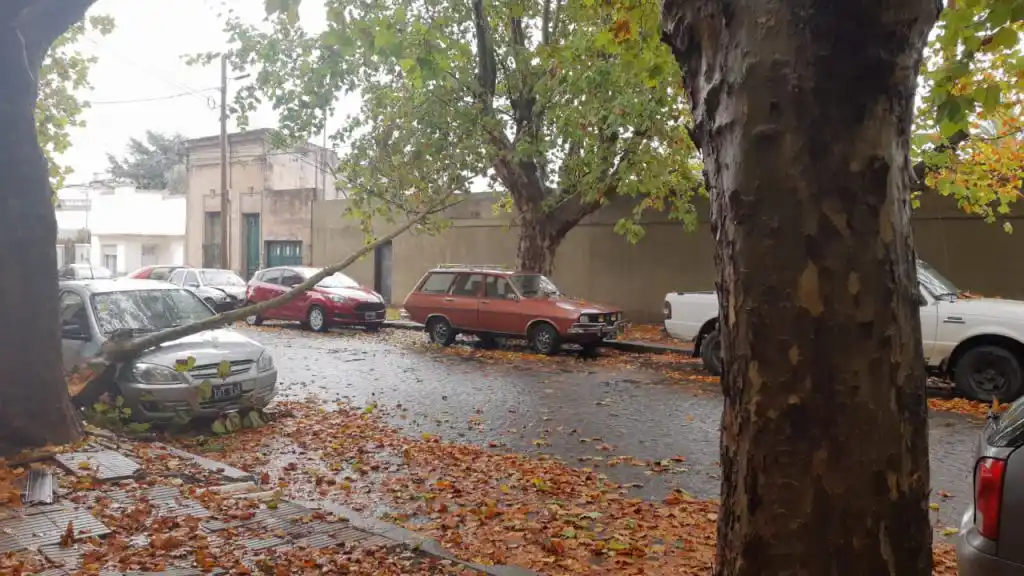 Por la tormenta, una rama cayó sobre un auto en Fuerte Independencia