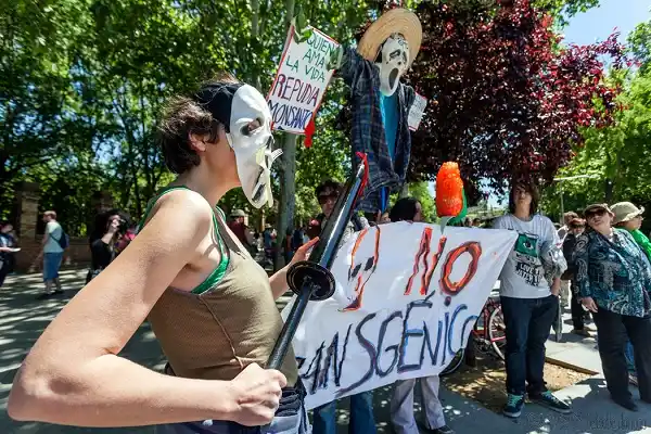 Agroquímicos: La Asamblea Ambiental convocará a todos los Diputados entrerrianos 