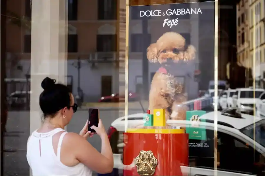 Dolce & Gabbana lanza perfume para perros