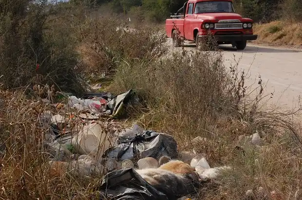 Proyecto barrial “No a mis papeleras” 