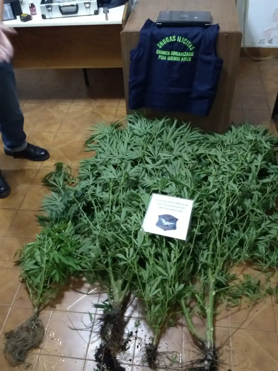 Prisión para dos acusados y liberación de un tercero por causa de droga