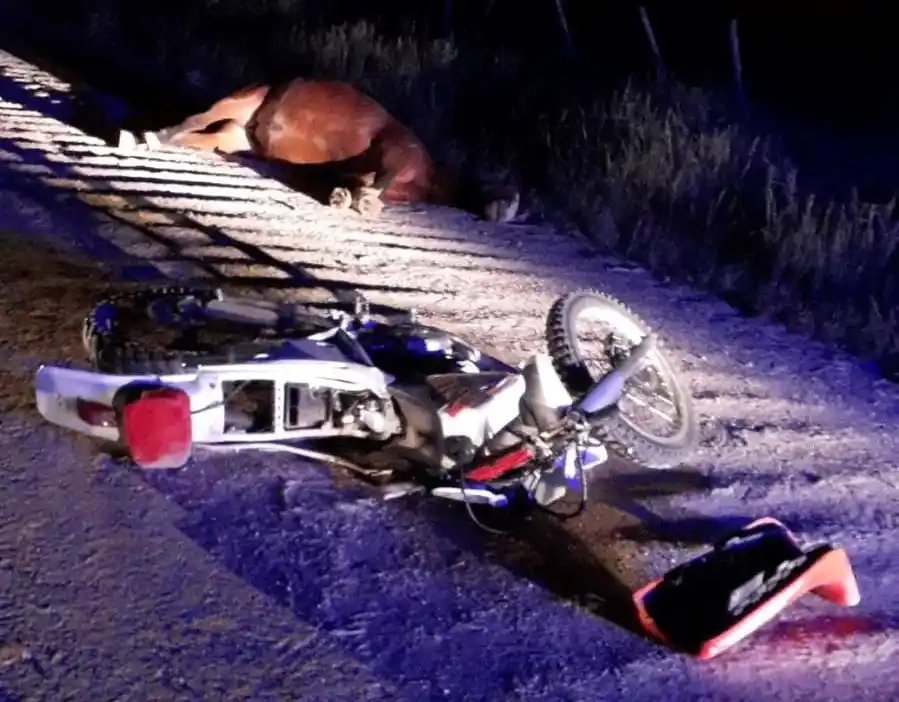 Un joven murió tras impactar con su moto a un caballo suelto en Balcarce: El sorprendente mensaje de la madre