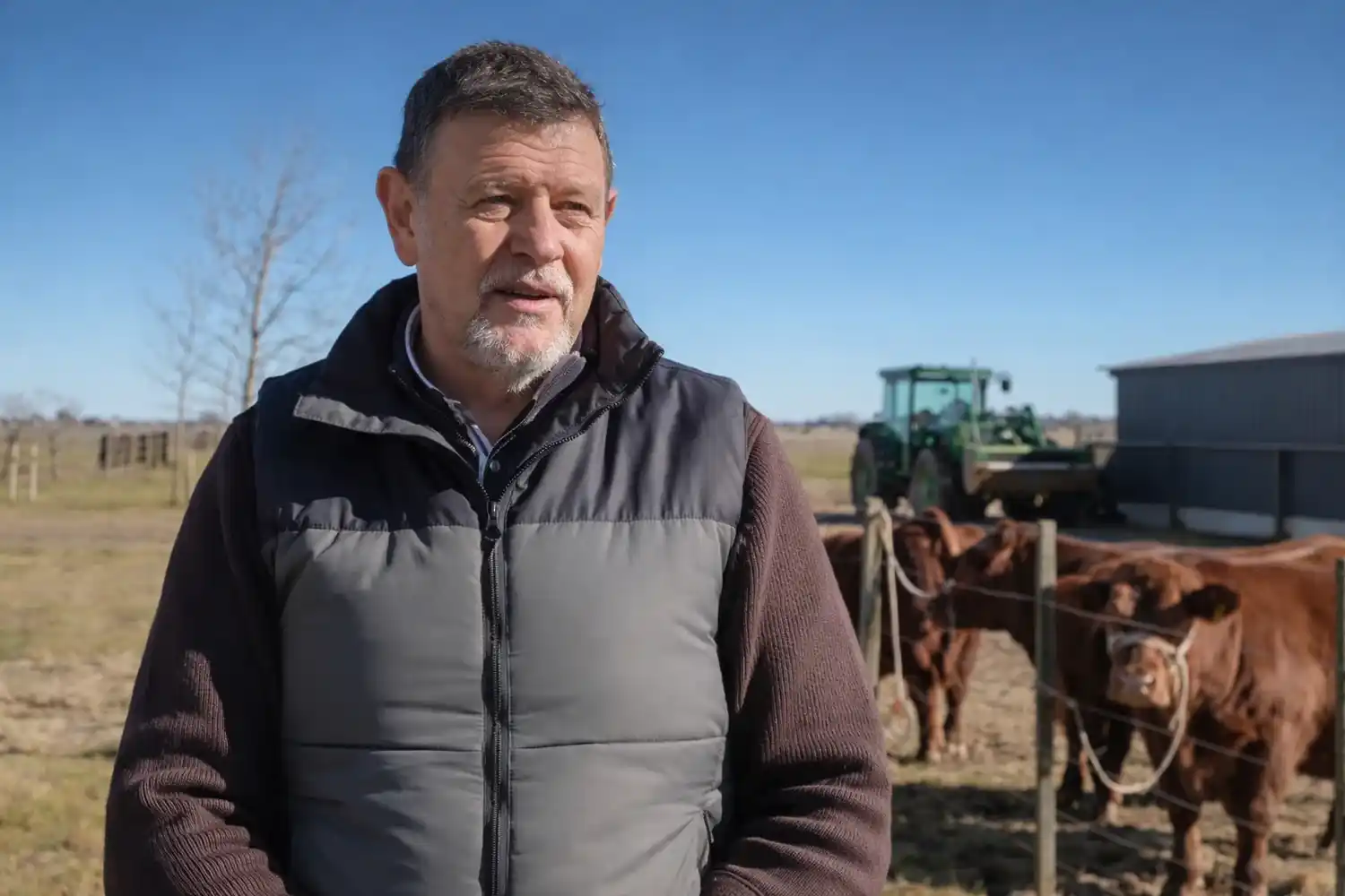 Chascomús será sede de la Jornada Ganadera de Vetifarma: "Del campo a la mesa"