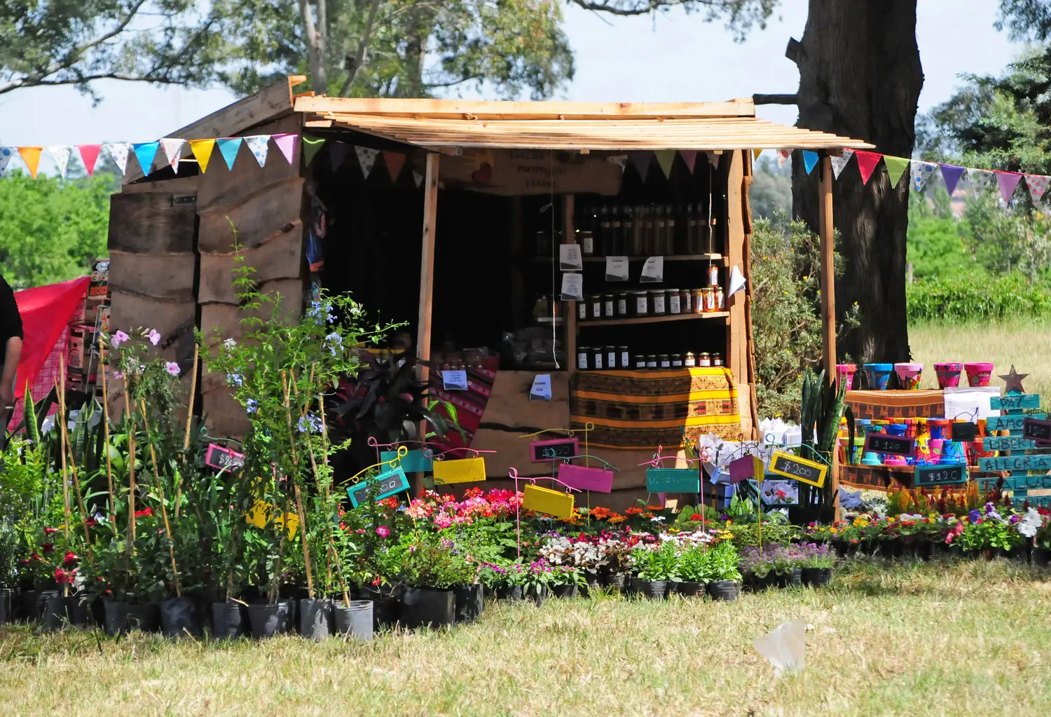 Expo jardin 19-11-22 - 6