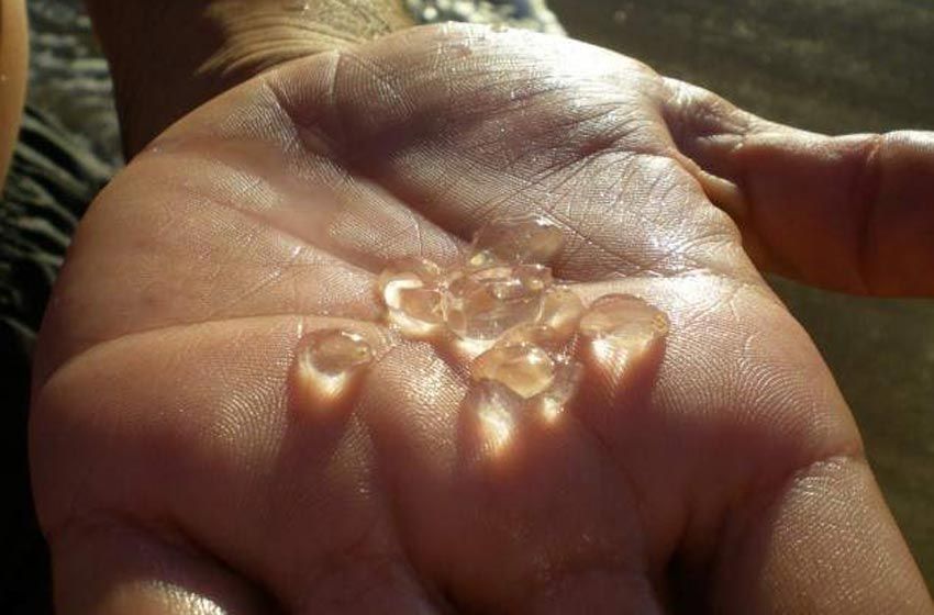 Complicación en las playas de la Costa Atlántica por la aparición de tapiocas