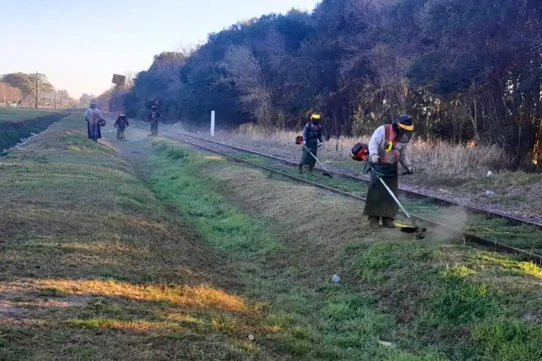 Se realizan tareas de limpieza y desmalezado