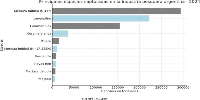 grafico