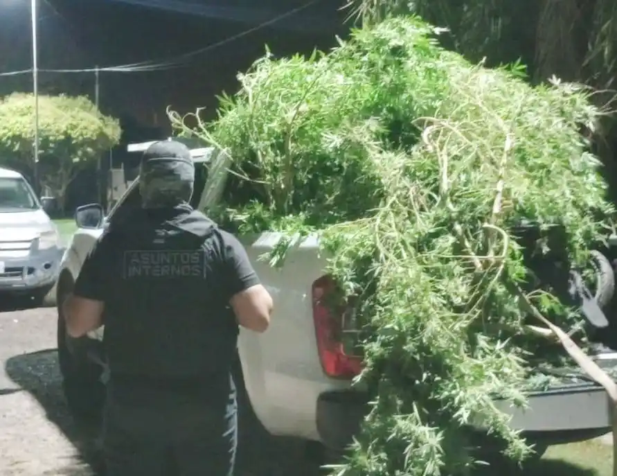 Fuerte operativo en el su provincial: allanamientos, policías detenidos, secuestro de armas y estupefacientes - 3