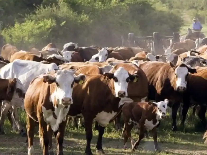 En 2024, los precios pagados por China a la industria local cayeron en promedio un 10% interanual.