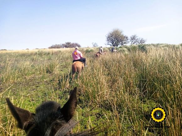 Vacas robadas en la isla: un Toyota Corolla, pista clave para allanar el campo de los Alsogaray