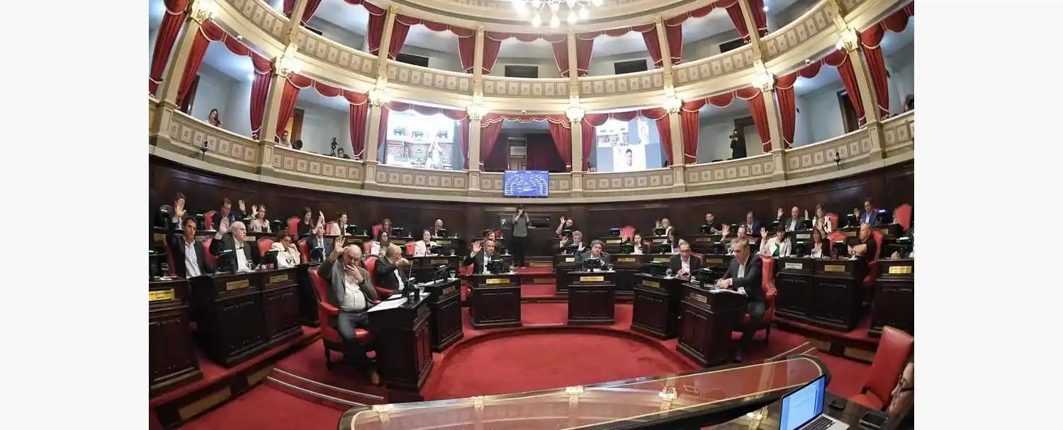 Senado bonaerense (Agencia NA-Prensa)