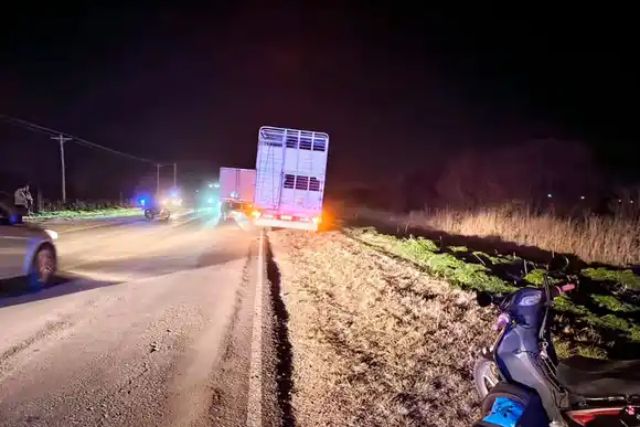 Tragedia en la ruta 11: una mujer cayó de una moto y murió tras ser embestida por un camión