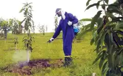 Prohíben agroquímicos en espacios urbanos