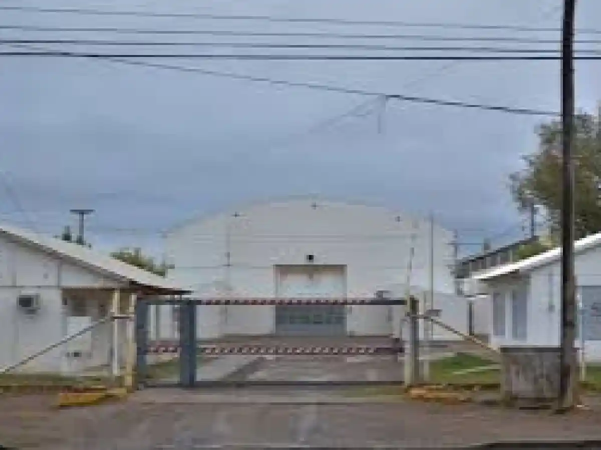 Escándalo en Neuquén: Maestra bajó pantalones a niños para ver quién se hizo caca