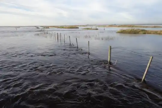 Declaran la emergencia agropecuaria para una veintena de municipios