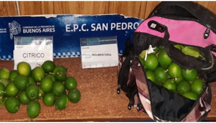 Madre e hijo fueron encontrados robando frutas dentro de una propiedad