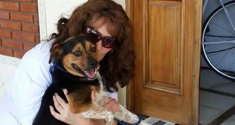 Abrieron la casa del docente abusador para rescatar mascotas