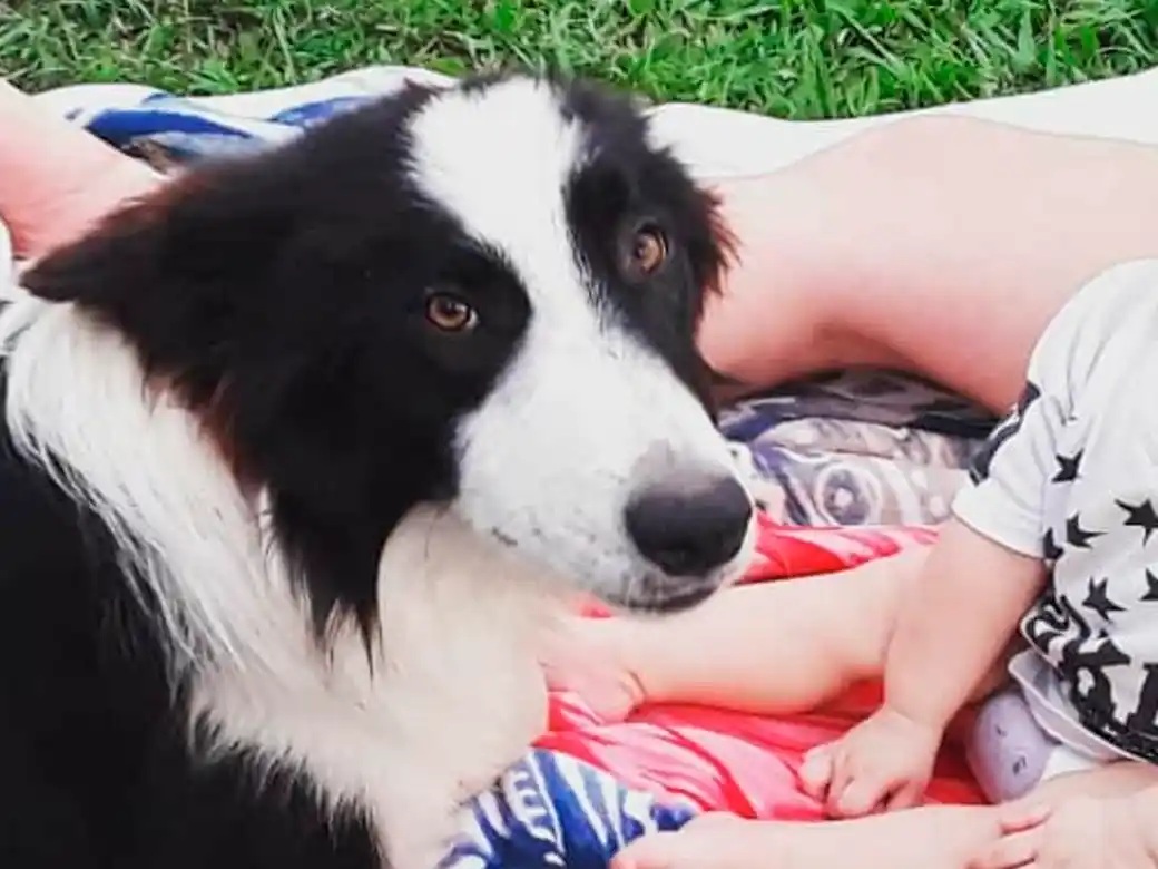 Lo buscan por La Buena Moza