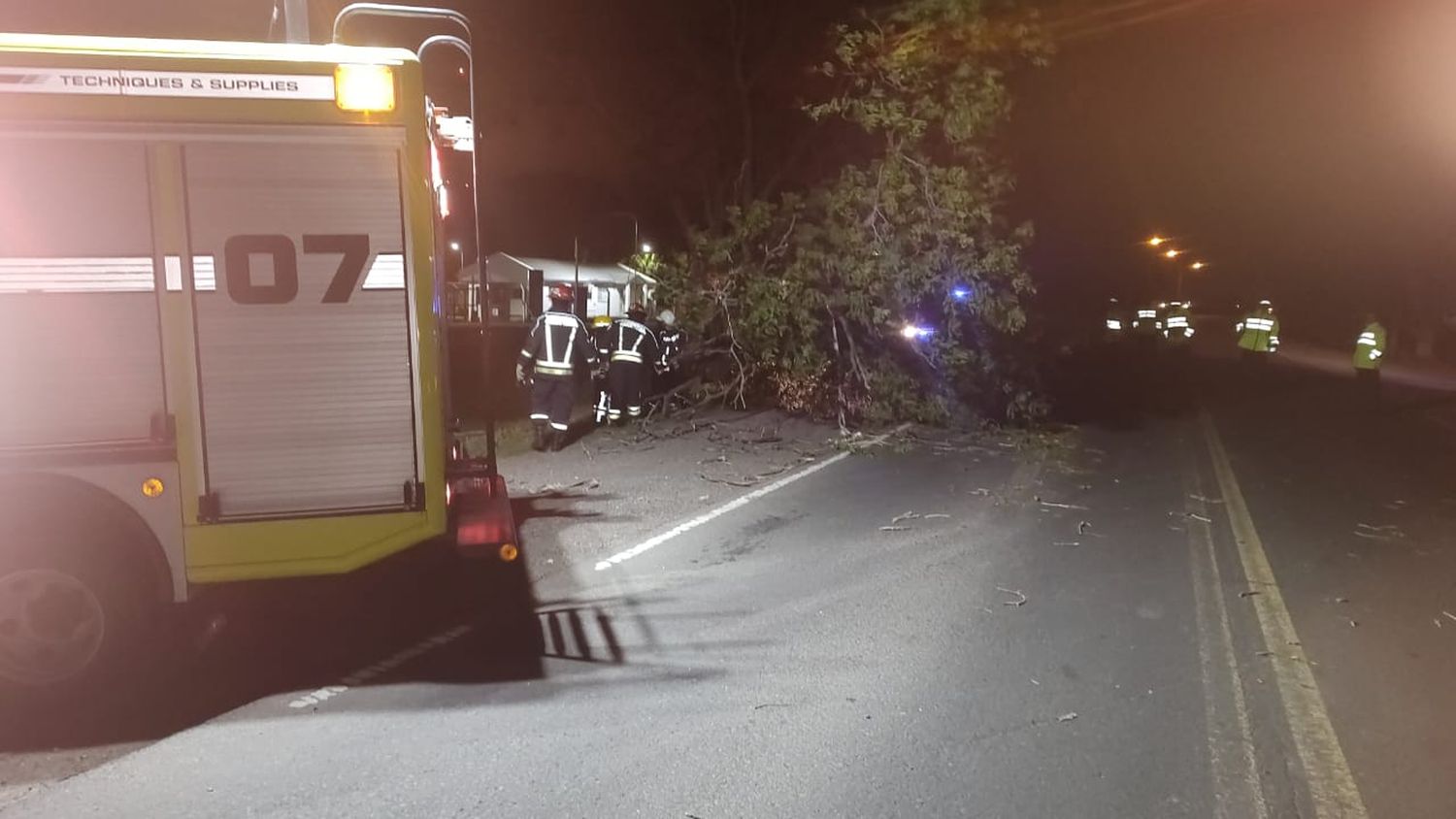 Ruta 33 estuvo cortada por la caída de un árbol