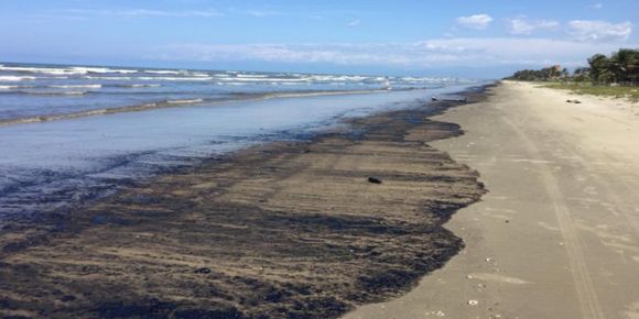 Informe revela que derrame de petróleo en El Palito contaminó Morrocoy