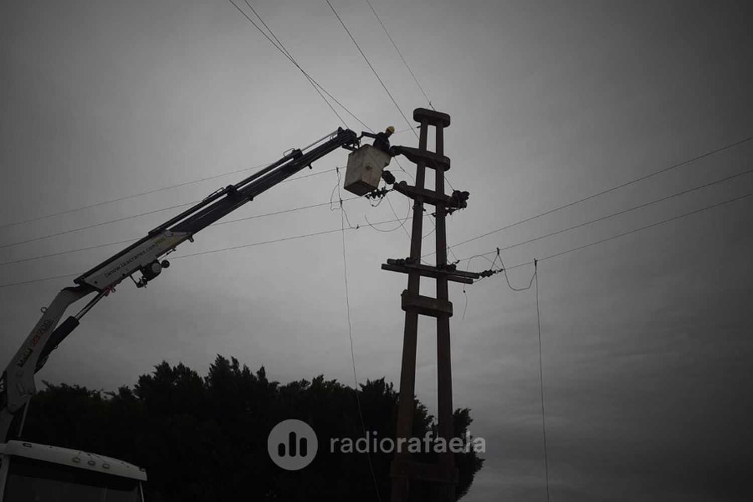 Renovaron 1800 metros de la red primaria de media tensión en Susana