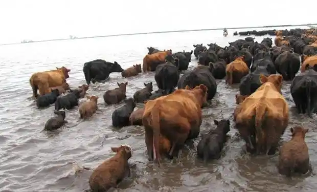“Las inundaciones en los campos tienen un impacto en la época más productiva del año”