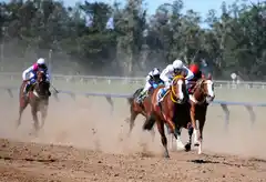 Una importante cantidad de personas disfrutaron de una jornada de turf en el Hipódromo