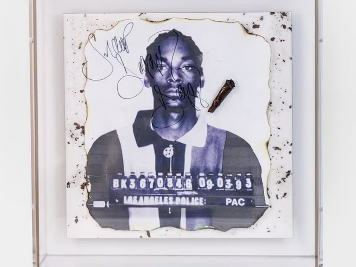 snoop dogg