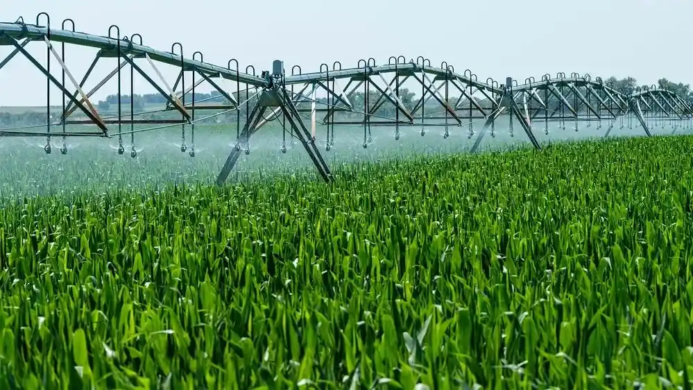 La Provincia prorrogó otra vez la suspensión de la resolución sobre agroquímicos