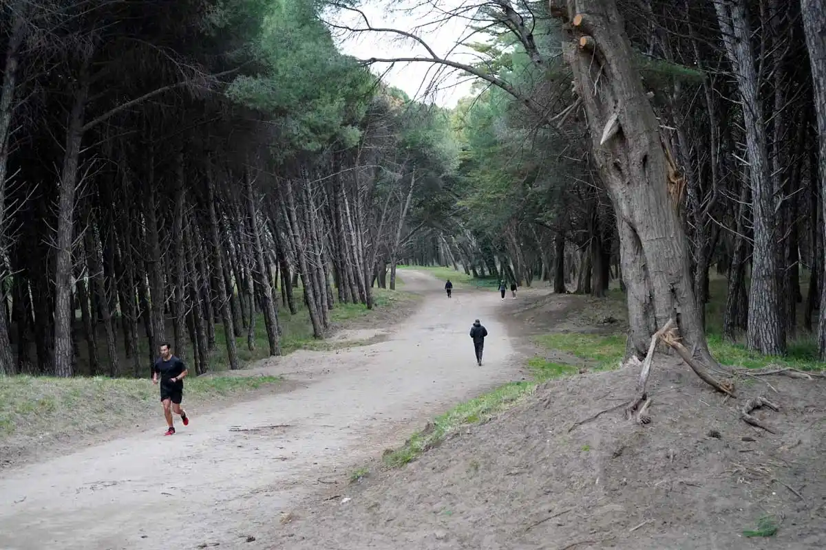 El parque Miguel Lillo, un lugar para conectar con lo natural