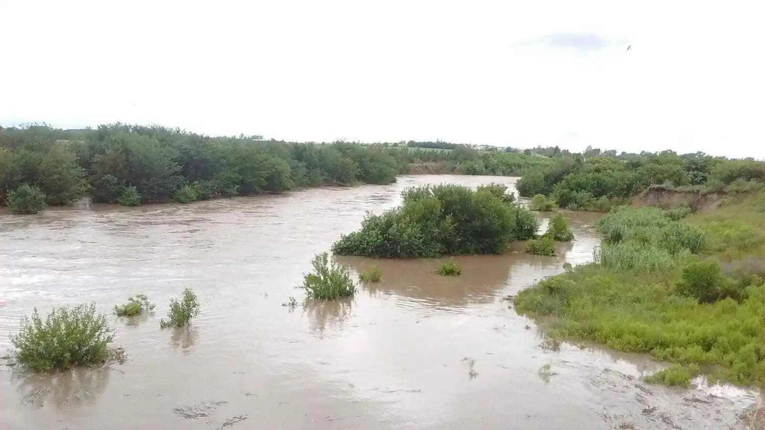 Un video muestra como la correntada arrastra la hacienda