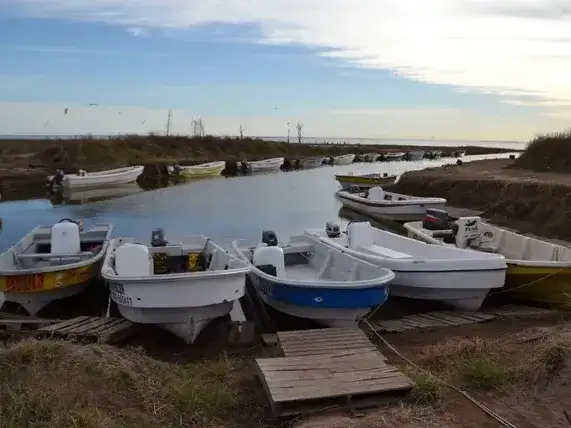 san gregorio - 2