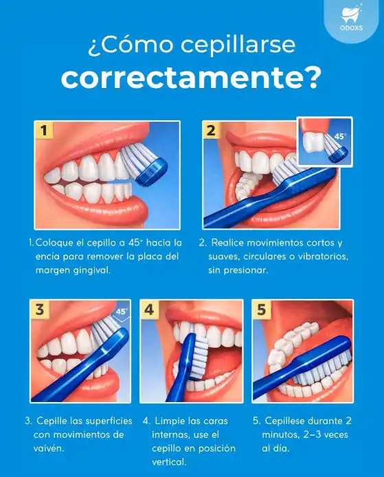 La Vidriera Eco salud cuidados bucales San Millán - 2