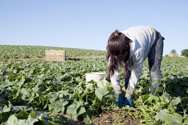 Convocan a participar del concurso fotográfico  “El campo y sus protagonistas”