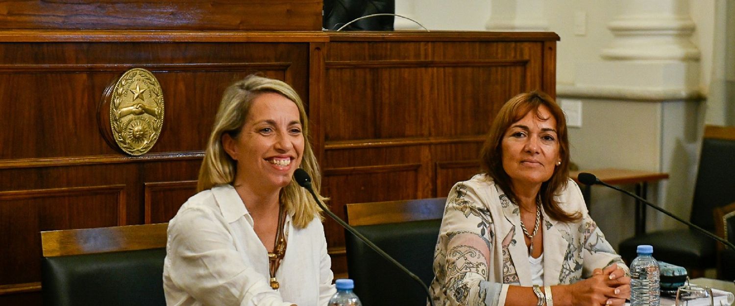 Se realizó la primera reunión para la conformación de la Comisión de Paridad en la Legislatura entrerriana